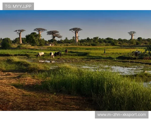 马达加斯加篮球运动渐入佳境，马达加斯加怎么样
